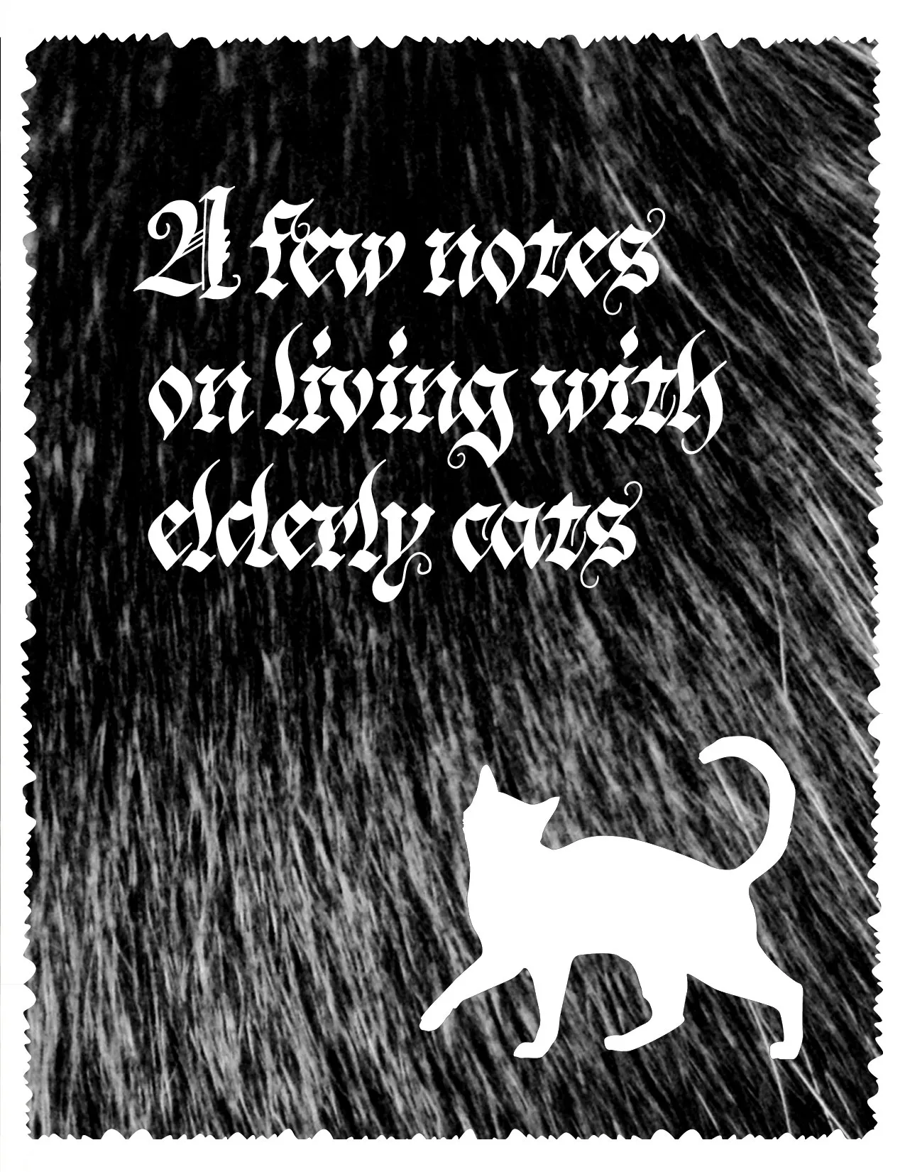 Cover of A few notes on living with elderly cats